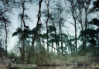 Exposición de fotografías de Axel Hütte en la galería Helga de Alvear.