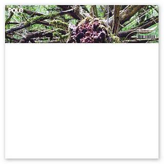 Pole - Waldgeschichten (Pole,2011)