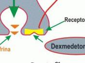 dexmedetomidina facilita extubación pacientes agitados unidad cuidados intensivos quirúrgicos