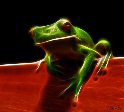 Enlaces de la semana (40/11)