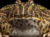 Enlaces semana (40/11)