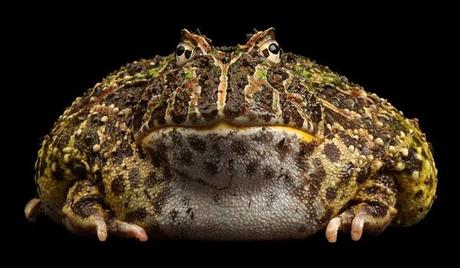 Enlaces de la semana (40/11)