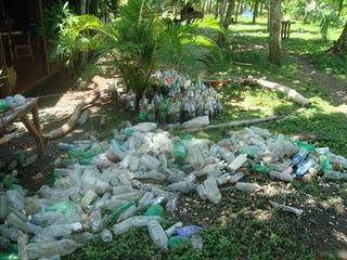 750 plantas en vivero....cubriran 3000 metros cuadrados