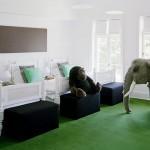 douglasfriedman1 douglasfriedman1