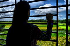 El Día Mundial de la Salud Mental y las psicosis