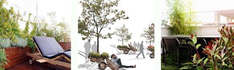 Proy-habitacionverde-01 Publicidad sobre paisajismo