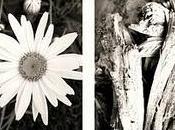 vistas puesta Brooklyn