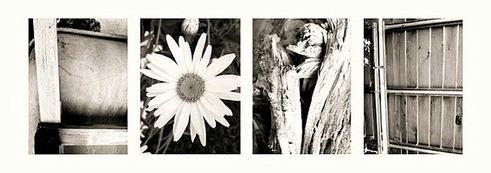 ... Con vistas a la puesta de sol de Brooklyn ...