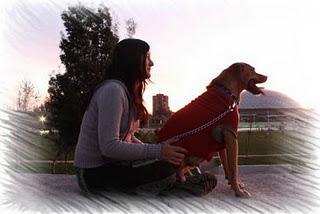 ¡¡¡Campaña a Luca por los Animalitos!!!, por GAC ¡¡¡Campaña a Luca por los Animalitos!!!, por GAC