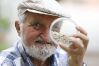 Un mosquito en tu habitación