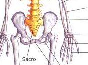 Manteniendo esqueleto sano