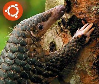 35 nombres descartados para Ubuntu 12.04 35 nombres descartados para Ubuntu 12.04