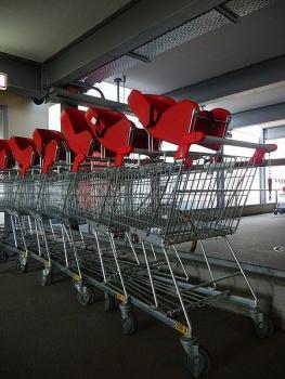 Carritus te proporciona las mejores ofertas para que ahorres en tu compra