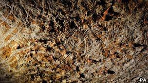 (305)  DESCUBREN  ARTE  RUPESTRE  INFANTIL  EN  FRANCIA