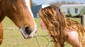 Shampoo para caballos ?