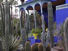 Visitando Jardines: jardín Yves Saint Laurent