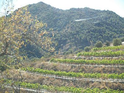 Un domingo en el Priorat