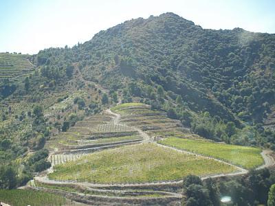 Un domingo en el Priorat