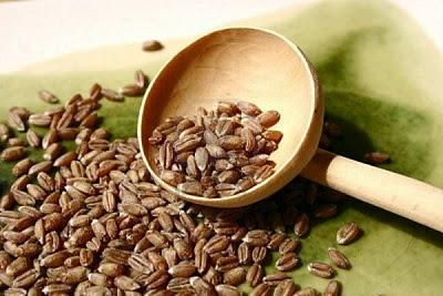 Panecillos De Escanda