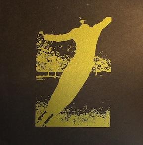 Chasing Voices - Another Walk (Preserved Instincts,2011)