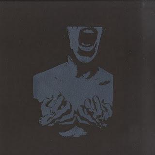 Chasing Voices - Another Walk (Preserved Instincts,2011)