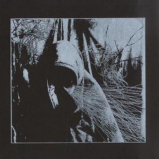 Chasing Voices - Another Walk (Preserved Instincts,2011)