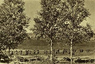 La bolsa de Vyazma se rinde - 12/10/1941.