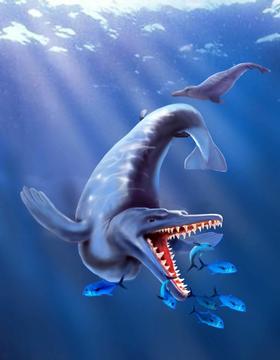 Hallan fósil de ballena que vivió hace 49 millones de años