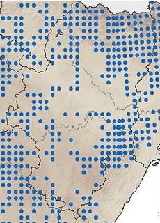 La Nutria paleártica en Aragón (Lutra lutra) - Loutre, Lontra, Otter