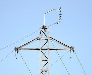 TENDIDOS ELÉCTRICOS Y PROBLEMÁTICA CON LA AVIFAUNA EN ARAGÓN