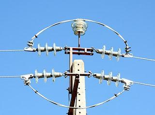 TENDIDOS ELÉCTRICOS Y PROBLEMÁTICA CON LA AVIFAUNA EN ARAGÓN