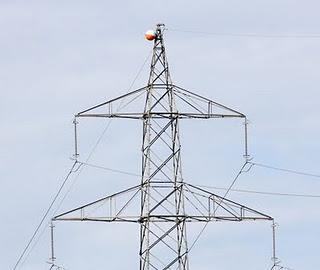 TENDIDOS ELÉCTRICOS Y PROBLEMÁTICA CON LA AVIFAUNA EN ARAGÓN