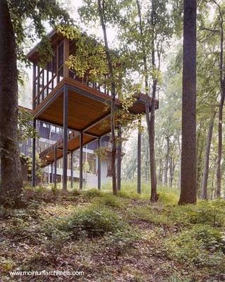 Moderna casa del bosque