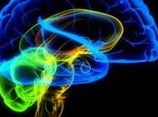 Psiconeuroinmunología para sanar