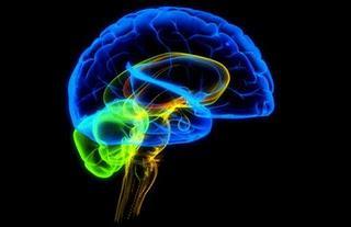 Psiconeuroinmunología para sanar
