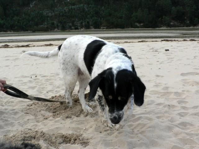 El rincón del adoptante. Paula y Jana