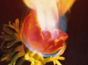 Adorable Against Perfection