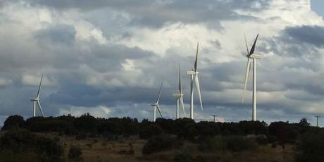 Vista de un parque eólico