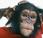 Crónica Sitges 2011: verdadero origen planeta simios