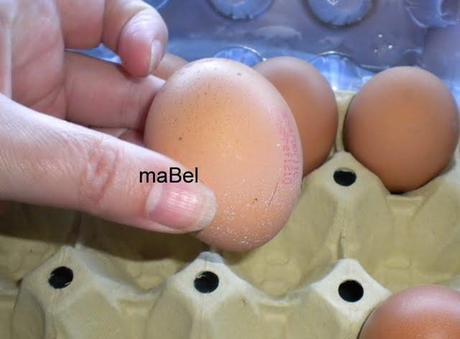 Crema de huevos en su cascarón Crema de huevos en su cascarón