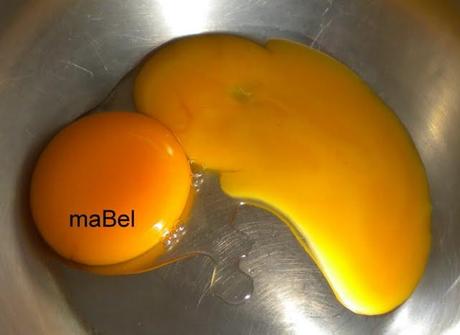 Crema de huevos en su cascarón Crema de huevos en su cascarón