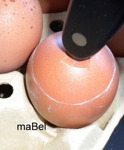 Crema de huevos en su cascarón