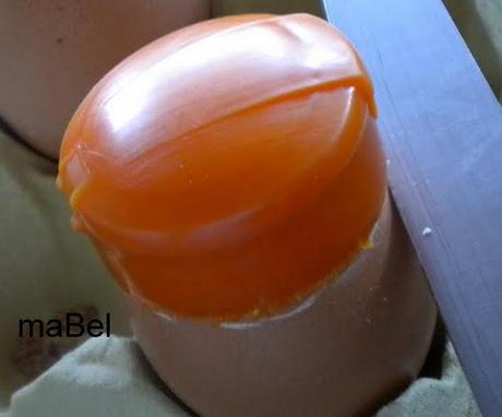 Crema de huevos en su cascarón