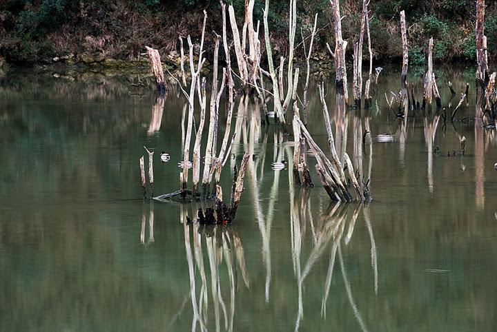 Nuestras costas cont