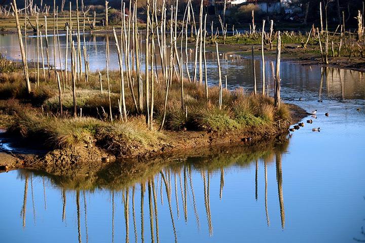 Nuestras costas cont