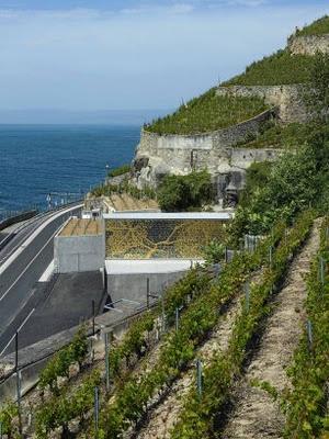 LA TONNELLE,  INTEGRACION ABSOLUTA