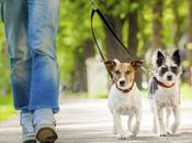 Pasear perro, playa montar moto estando baja justifican despido disciplinario