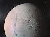 Opinión Encélado Amaya García Alberto Mínguez