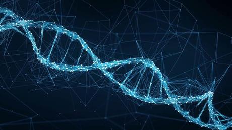 ¿Qué es la prueba genealógica de ADN?