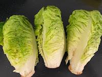 ENSALADA DE APIO, MANZANA Y ARANDANOS